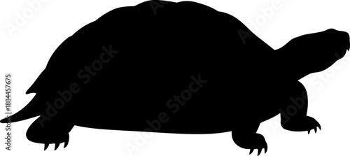 Land turtle silhouette side view crawling reptile animal vector illustration