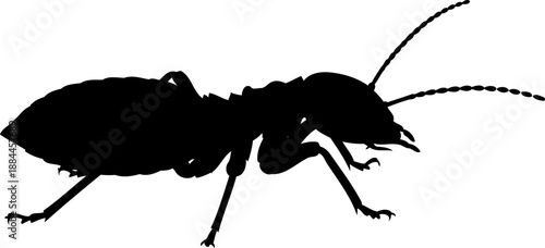 Large termite silhouette side view wood-eating insect vector graphic