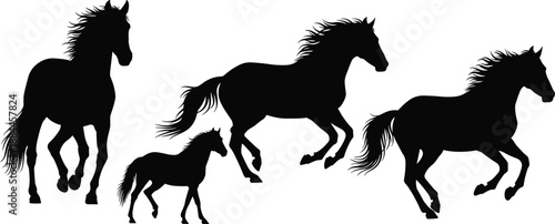Black horse silhouettes in motion, galloping with foal, vector illustration for nature and equestrian design.
