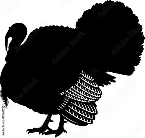 Male turkey silhouette with fanned tail feathers side view vector illustration