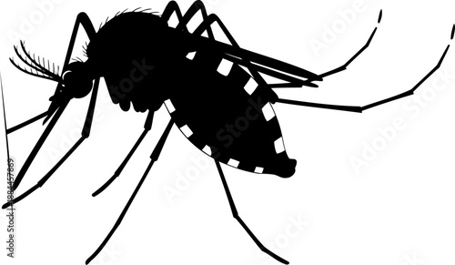Mosquito silhouette side view blood sucking insect vector graphic