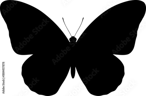 Open wing butterfly silhouette top view insect vector graphic