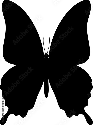 Open wing butterfly silhouette top view insect vector illustration