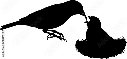 Nesting bird feeding chick silhouette side view vector illustration