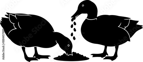 Pair of ducks feeding silhouette side view waterfowl vector illustration
