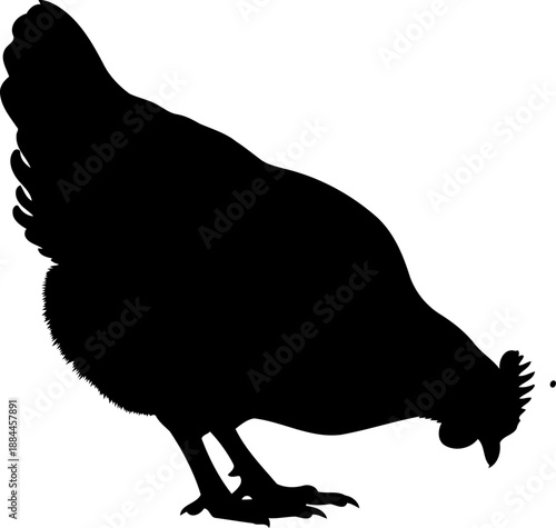 Pecking hen silhouette side view chicken vector graphic