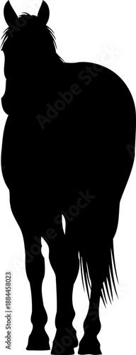 Rear view horse silhouette standing stallion vector illustration