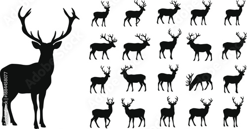 Deer silhouette collection with various poses, stags and bucks in profile, walking, grazing, standing, vector illustration for wildlife design