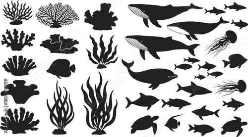 Underwater sea life silhouettes including whales, dolphins, sharks, jellyfish, turtles, fish, coral, and seaweed