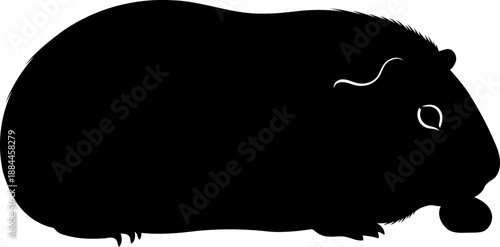 Side view guinea pig silhouette domestic rodent vector illustration