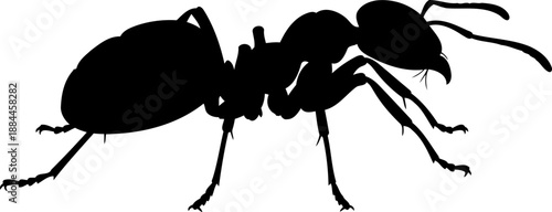 Side view ant silhouette worker insect vector illustration