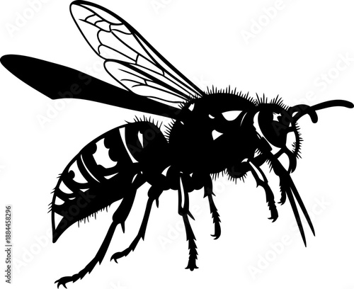 Side view wasp silhouette stinging insect vector graphic