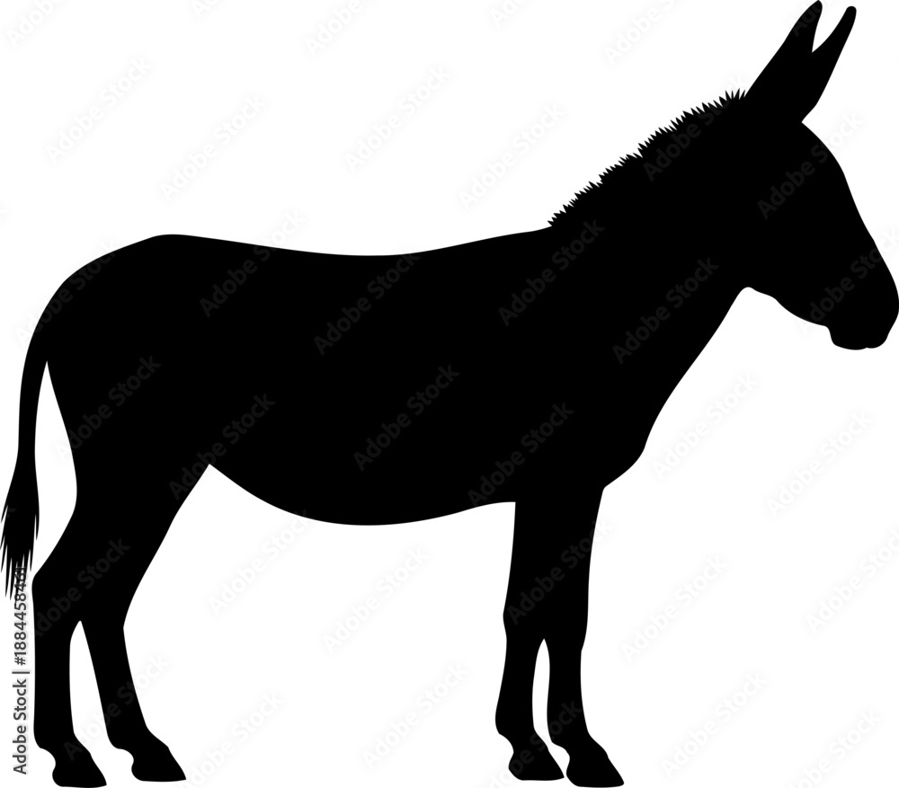 Fototapeta premium Standing donkey silhouette side view stationary equine vector graphic