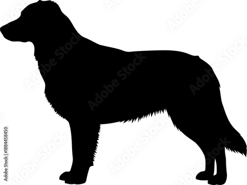 Standing dog silhouette side view retriever breed pet vector graphic