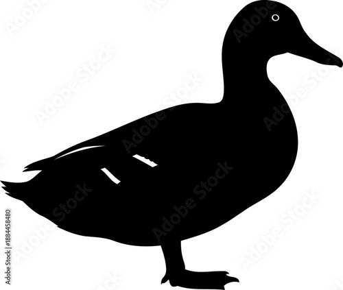 Standing duck silhouette side view waterfowl bird vector graphic