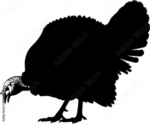 Standing turkey silhouette side view poultry vector illustration