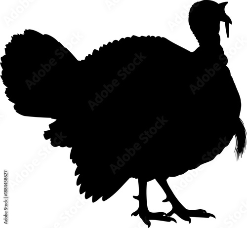 Standing turkey silhouette side view poultry vector illustration