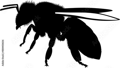 Stinging wasp silhouette side view hornet insect vector illustration