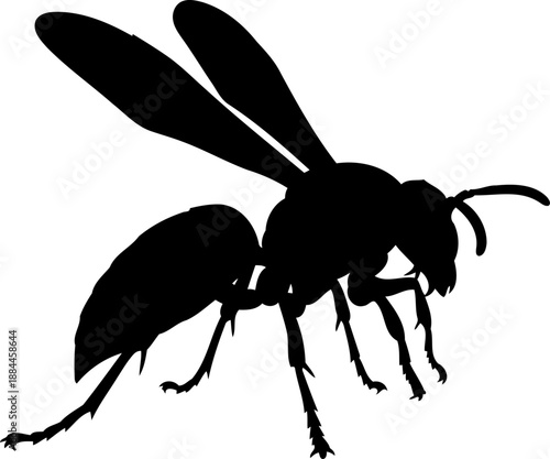 Stinging wasp silhouette side view hornet insect vector illustration