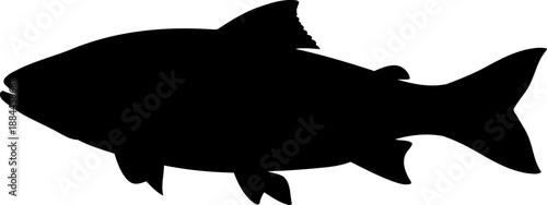 Swimming fish silhouette side view aquatic animal vector graphic