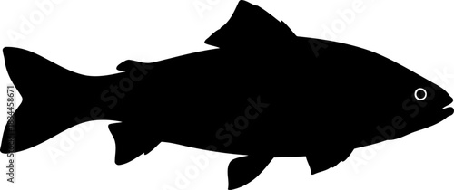 Swimming fish silhouette side view aquatic animal vector illustration