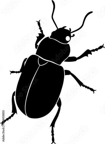 Top view beetle silhouette insect vector graphic design