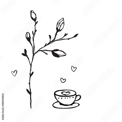 Spring doodle illustration. Magnolia blossom and cup of coffee hand drawn vector illustration. 
