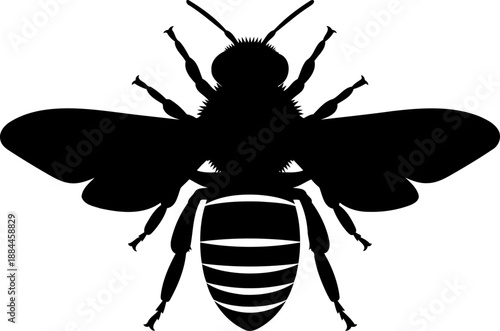 Top view honey bee silhouette flying insect vector graphic