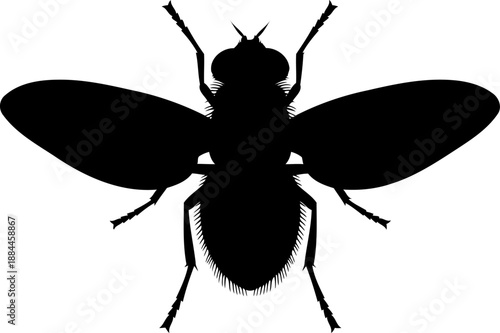 Top view housefly silhouette insect vector illustration