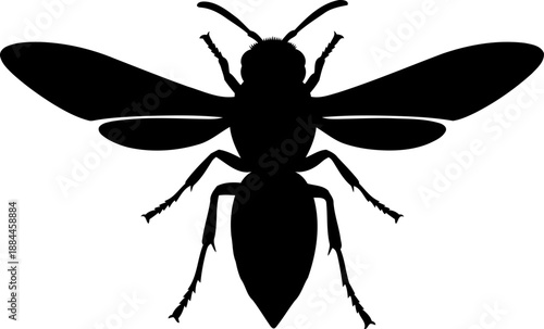 Top view wasp silhouette flying insect vector illustration
