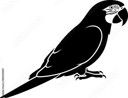 Tropical parrot silhouette side profile macaw vector graphic