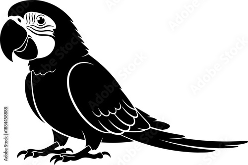 Tropical macaw parrot perched silhouette side view bird vector illustration