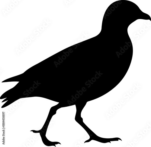 Urban pigeon silhouette side view walking bird vector graphic