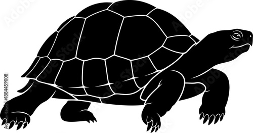 Walking tortoise silhouette side view slow reptile vector graphic