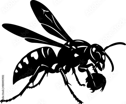 Wasp carrying prey silhouette side view hunting insect vector