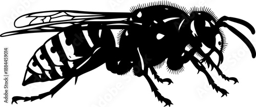 Wasp silhouette side view stinging insect hornet vector illustration
