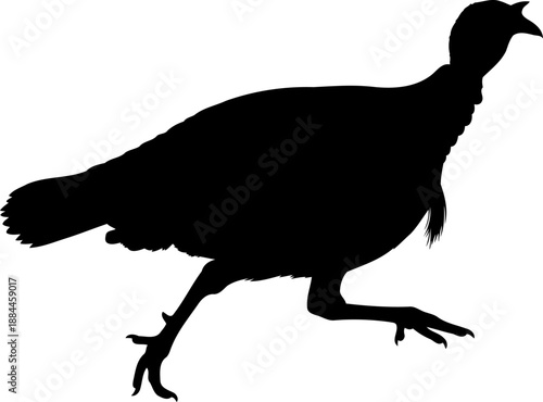 Walking turkey silhouette side view poultry bird vector graphic