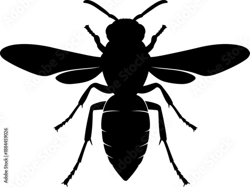 Wasp silhouette top view spread wings insect vector illustration