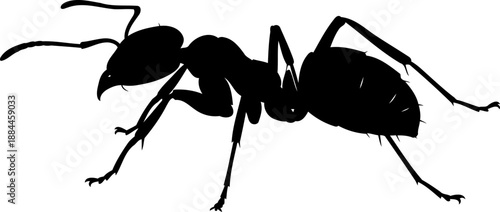 Worker ant silhouette side view crawling insect vector illustration
