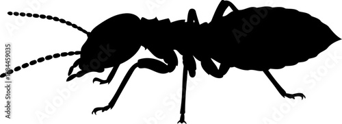 Worker ant silhouette side view garden insect vector illustration