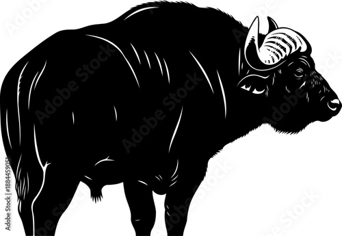 African buffalo standing in side profile view black and white vector illustration
