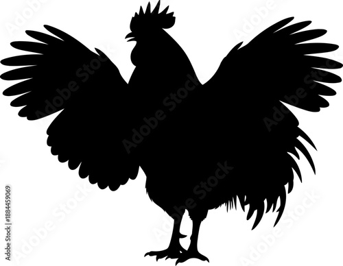 Aggressive rooster silhouette with wings spread poultry bird vector
