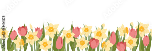 A vibrant spring floral border with daffodils and tulips. Spring vector illustration for your designs.