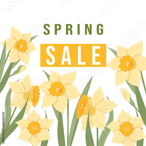 Spring sale poster with delicate yellow daffodils on a white background. Vector illustration.