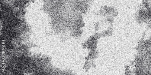 Abstract grayscale cloud-like formations with a grainy texture, creating a soft, ethereal, and organic background with a sense of depth and movement for artistic and design purposes