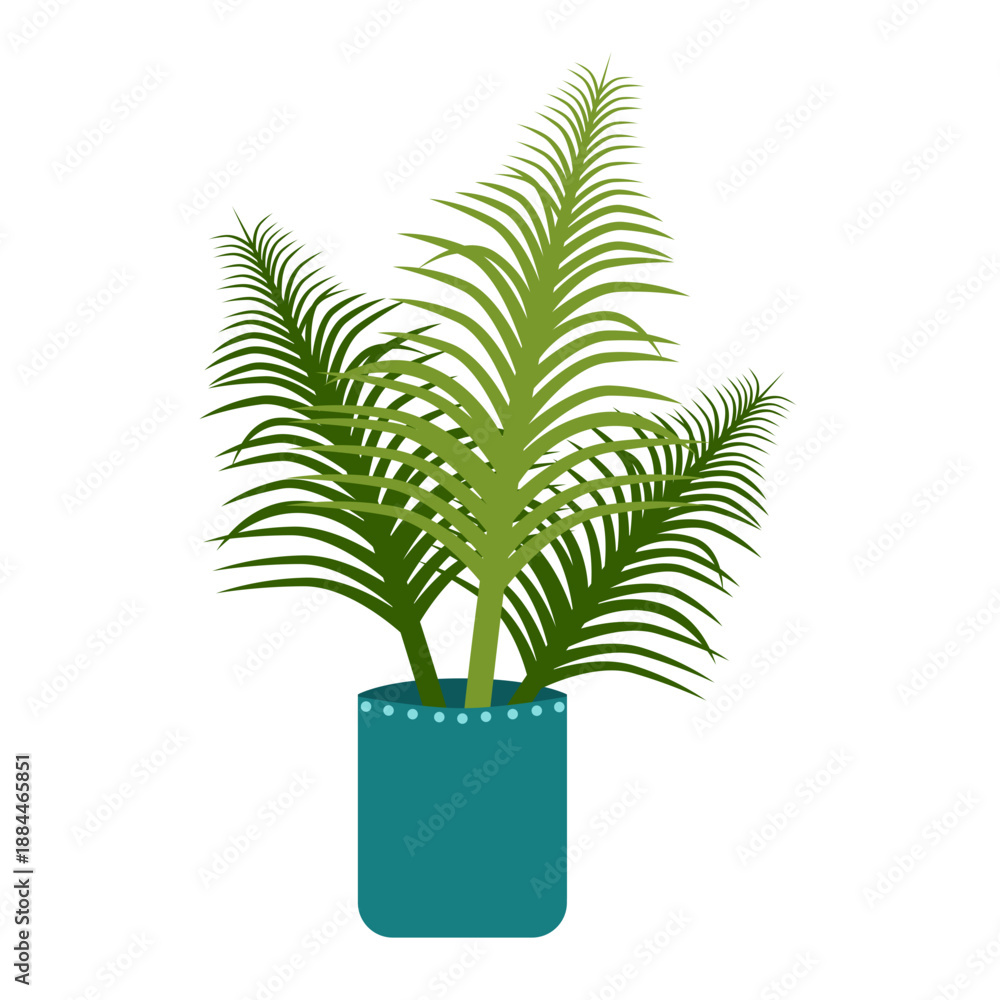Fototapeta premium Green Palm Tree in Pot. Indoor Decorative Plant.