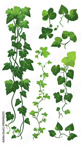 Green climbing ivy vines and trailing grape leaves vector set with stems isolated on white background in flat minimalist style for botanical design elements