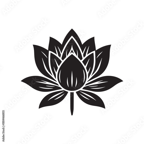 Elegant lotus blossom silhouette graphic design element symbol of purity and beauty illustration