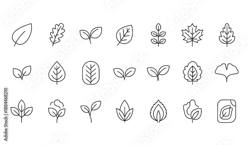 Minimal botanical leaf vector icon system in black