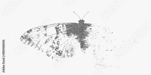 Shabby drawing of a butterfly with halftone grain and distressed photocopy texture for nostalgic grunge prints and retro themed decorative compositions.